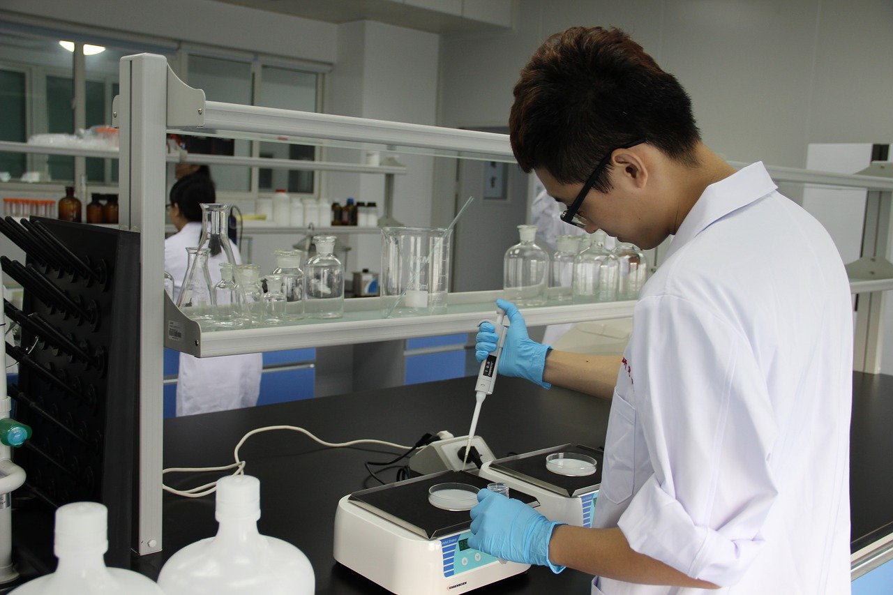 laboratory, back view, molecular biology-1951228.jpg